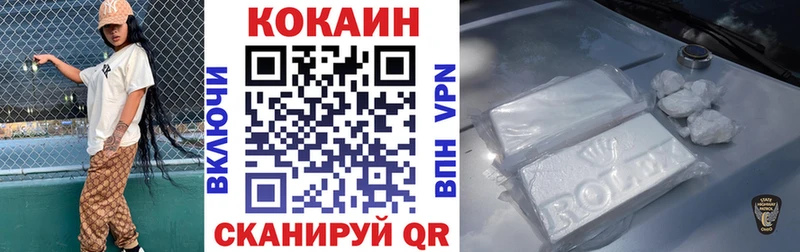 Купить  Заозёрск  КОКАИН Fish Scale 