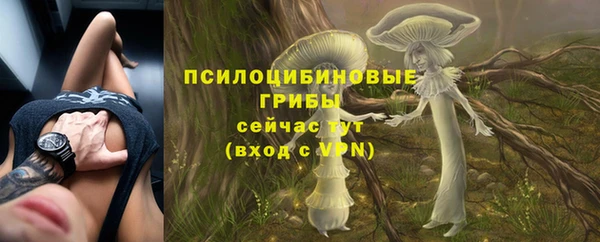 ПСИЛОЦИБИНОВЫЕ ГРИБЫ Дмитров