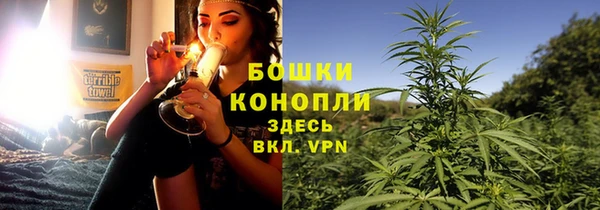 мет Дмитриев
