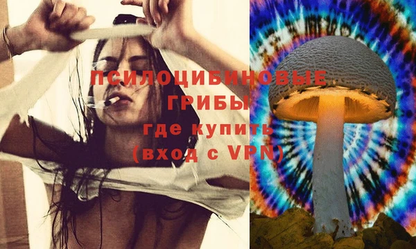 мет Дмитриев